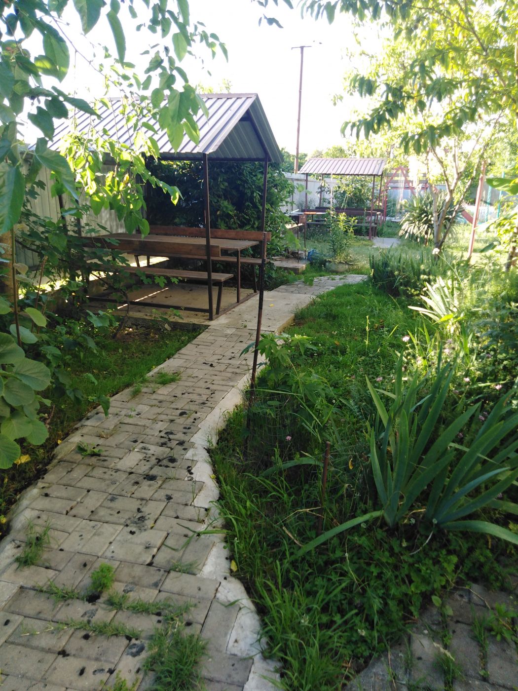 . Гостевой дом "Елена" - Цандрипш. Цандрипш