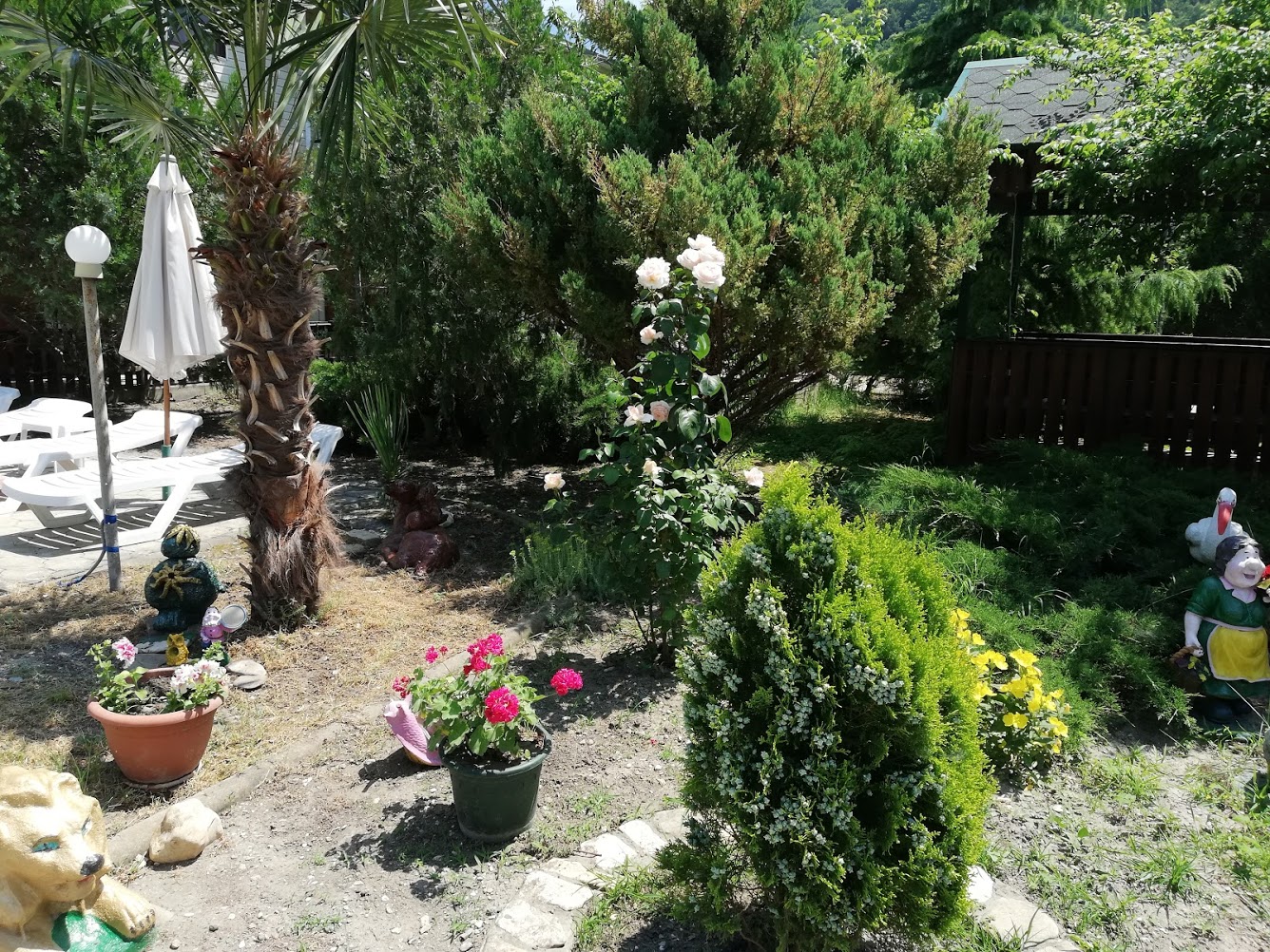 . Гостевой дом "Сибирячка". Ольгинка