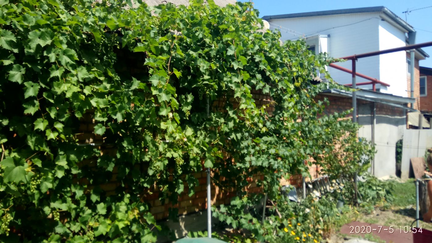 . Частный сектор Гостевой домик на у моря. Ейск