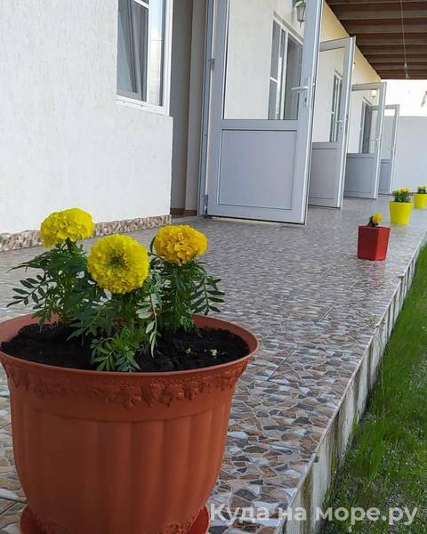 . Гостевой дом Лиза. Цандрипш