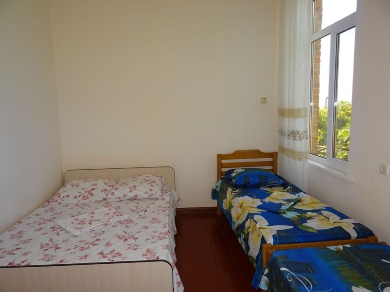 . Частный сектор Братьев Джинджолия 50. Новый Афон