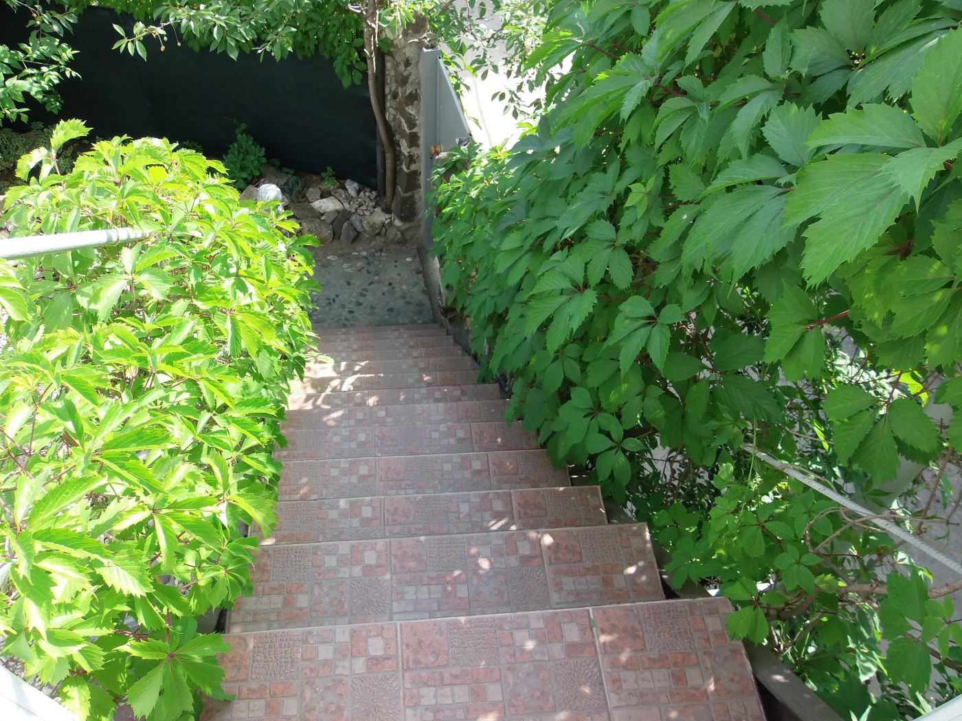 . Гостевой дом Гостевой дом "Спортлото-82".. Коктебель