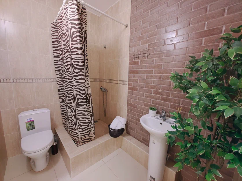 3-х местный номер-студия с мини-кухней. Парк-отель Благовещенка. Благовещенская