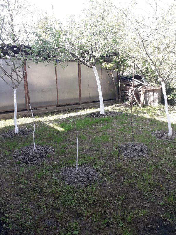 . Частный сектор "У Маркоса". Гудаута