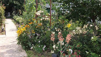 . Частный сектор Тихий семейный отдых. Ейск