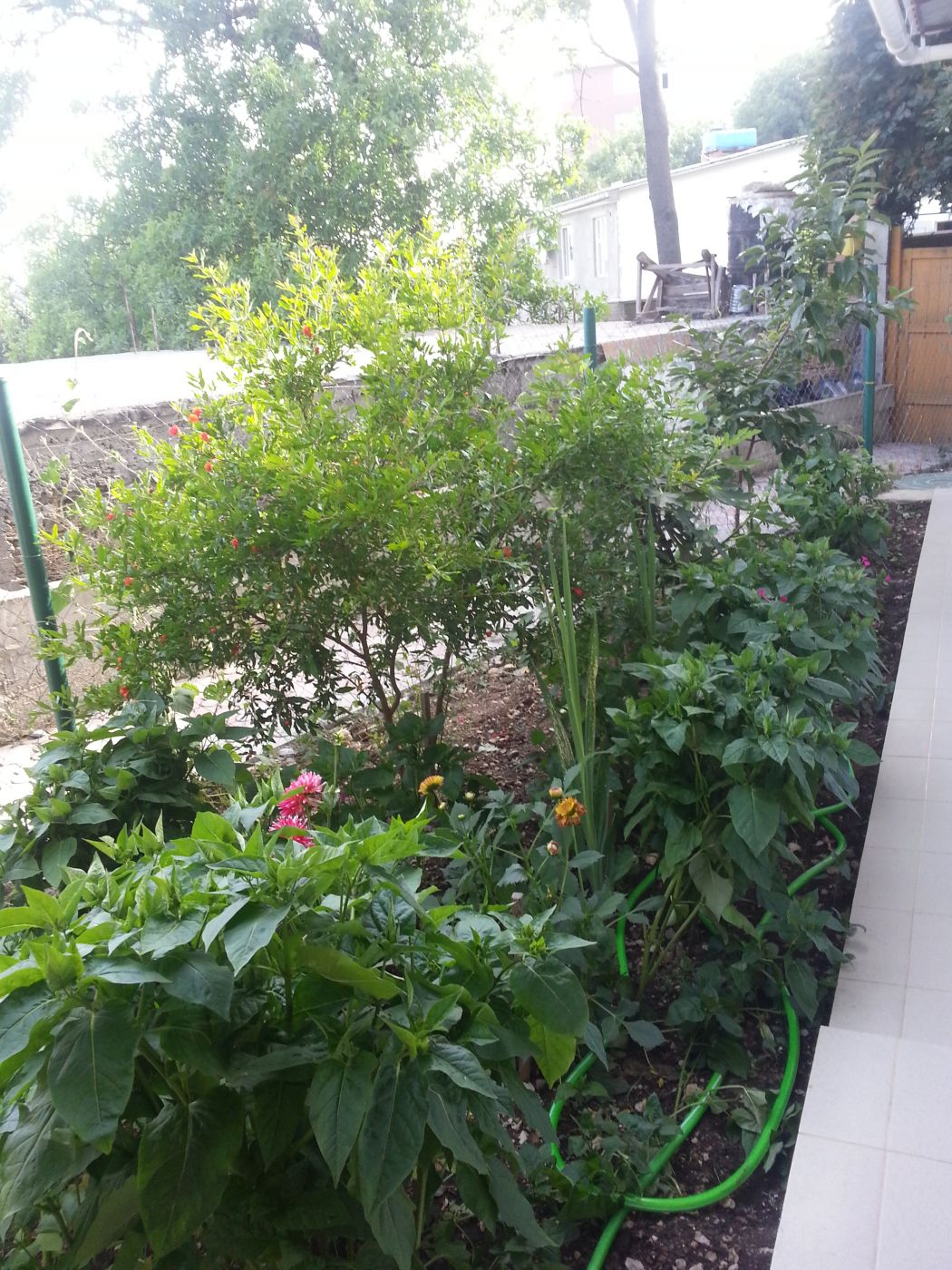 . Гостевой дом жилье под ключ у моря . Гаспра