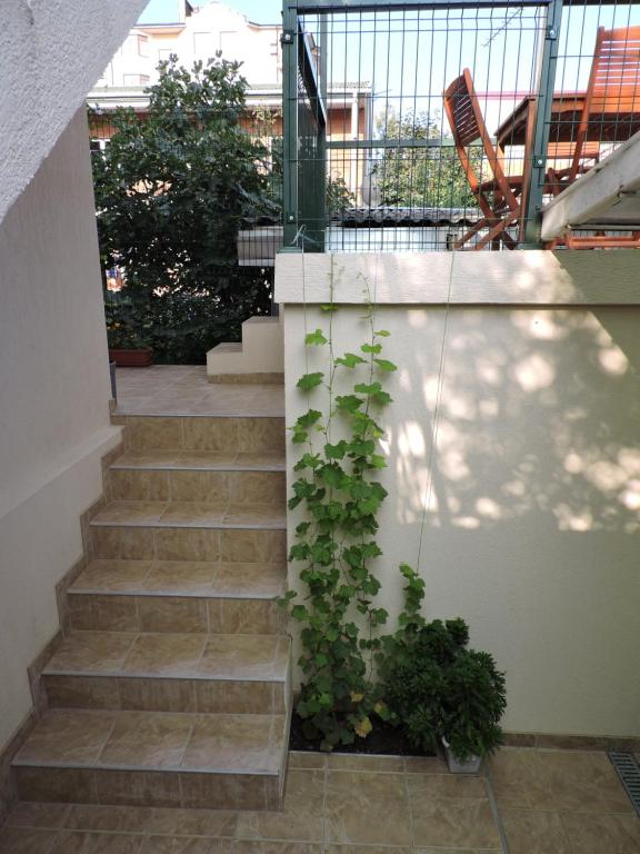 . Гостевой дом Мини гостиница на Куйбышева. Геленджик