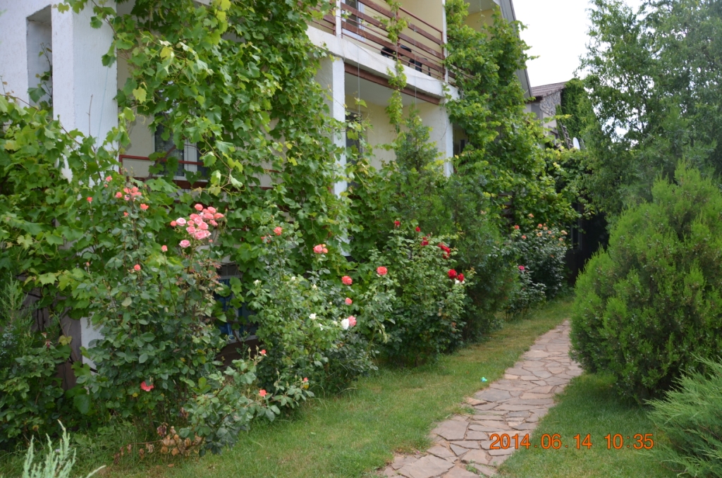 . Пансионат «Фрегат». Саки