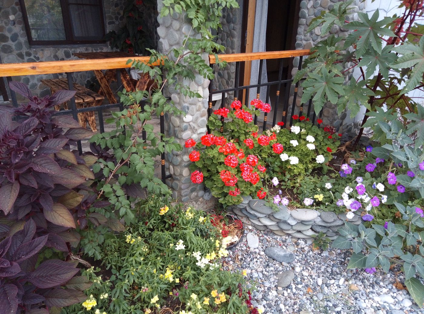 . Гостевой дом Лотос . Пицунда