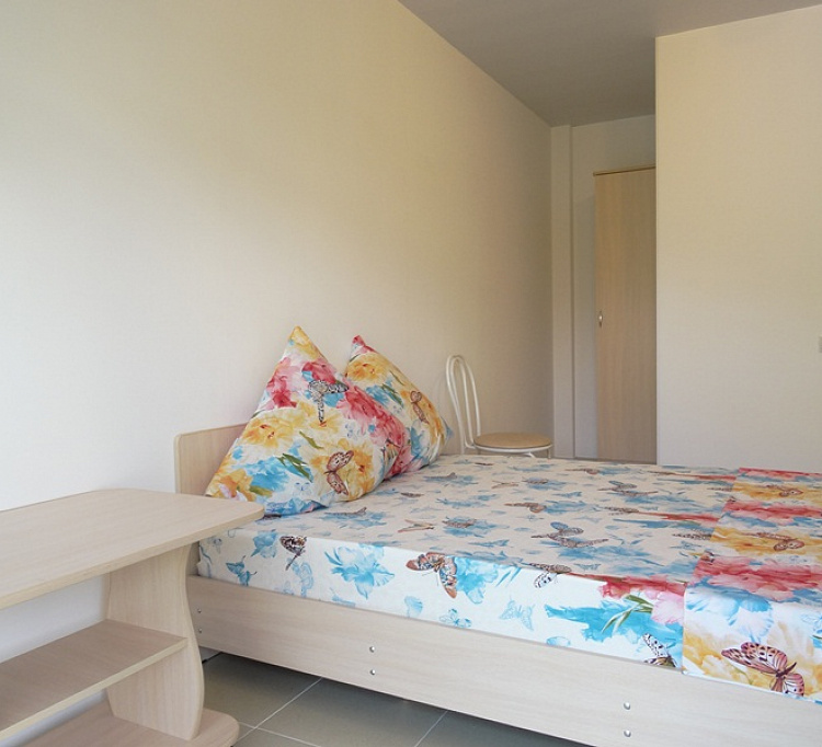 Стандарт. Частный гостевой дом Розовый дом. Солоники