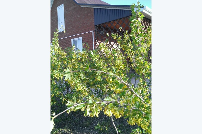 . Частный сектор Дворик на Азовской. Должанская