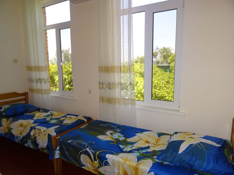 . Частный сектор Братьев Джинджолия 50. Новый Афон