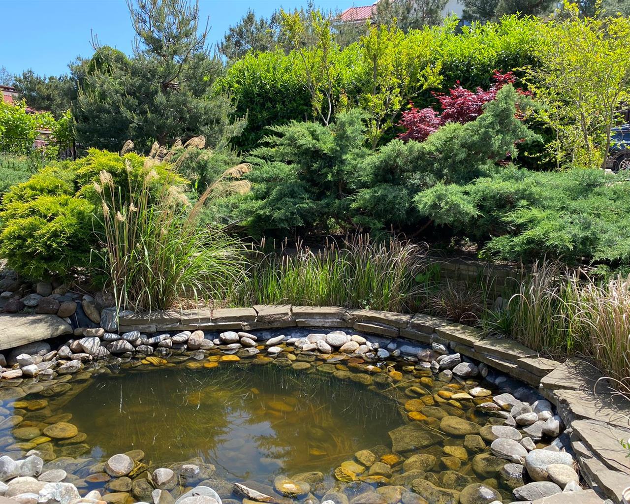 . Дом в Кедровой роще. Кабардинка