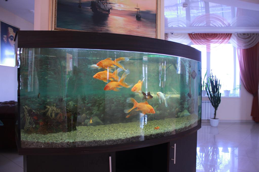 . Гостиница "Ассоль". Ейск