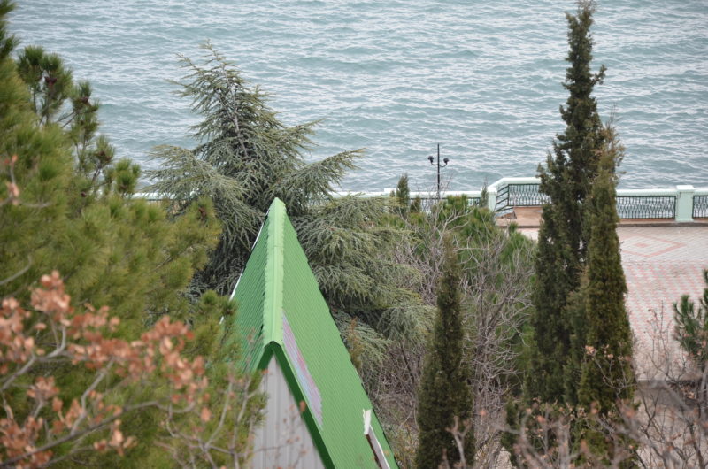 Эконом КОТТЕДЖ №11. Эко-отель «АЛЫЕ ПАРУСА». Солнечногорское