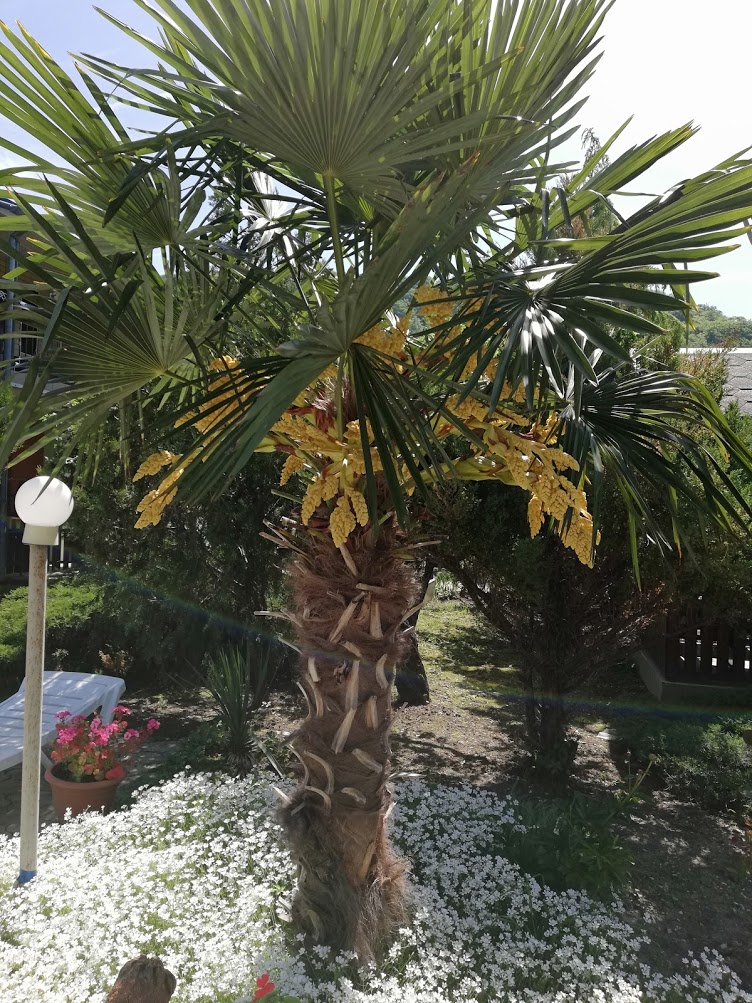 . Гостевой дом "Сибирячка". Ольгинка