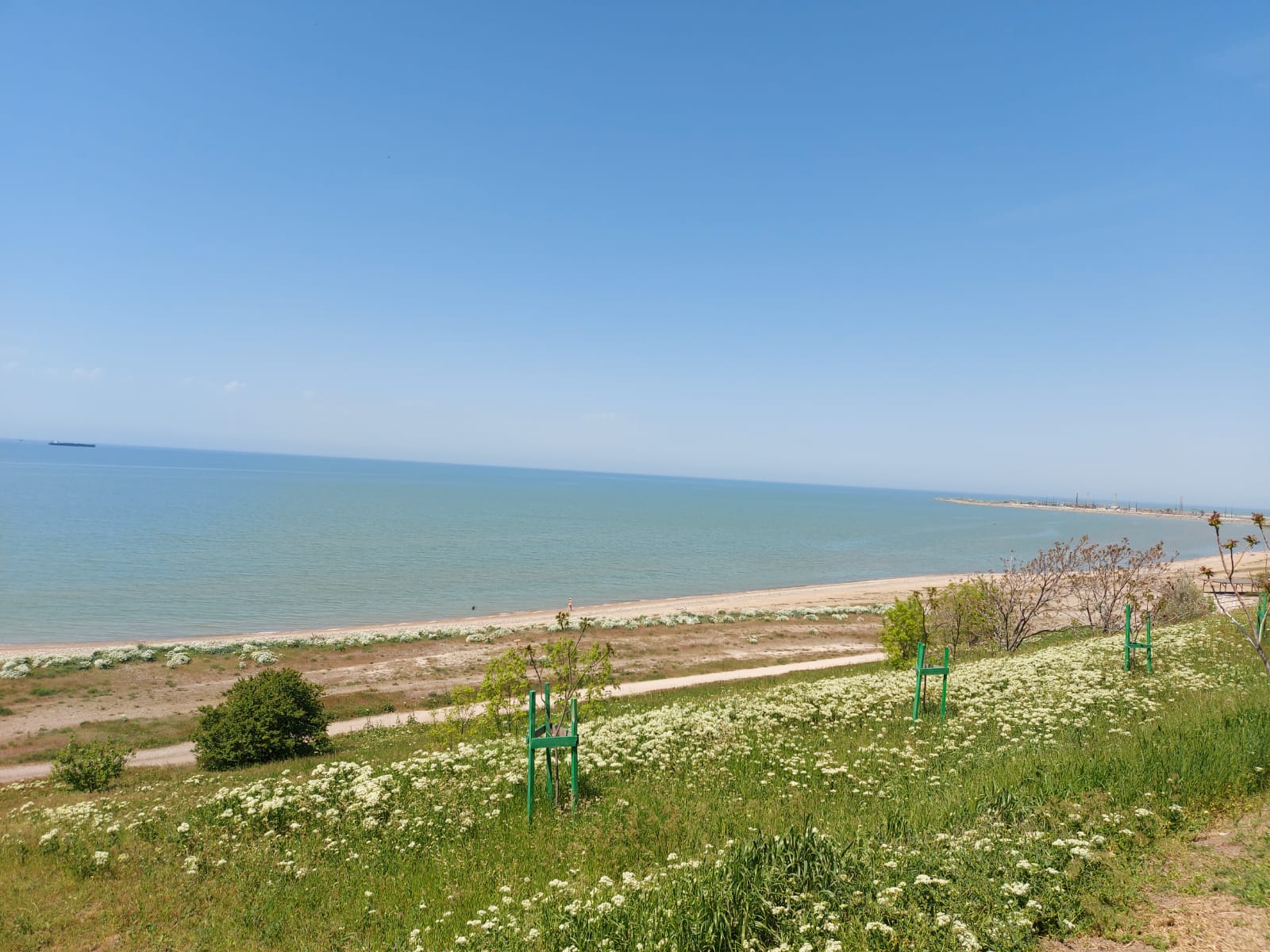 . Гостиница Александровский сад у моря . Ейск