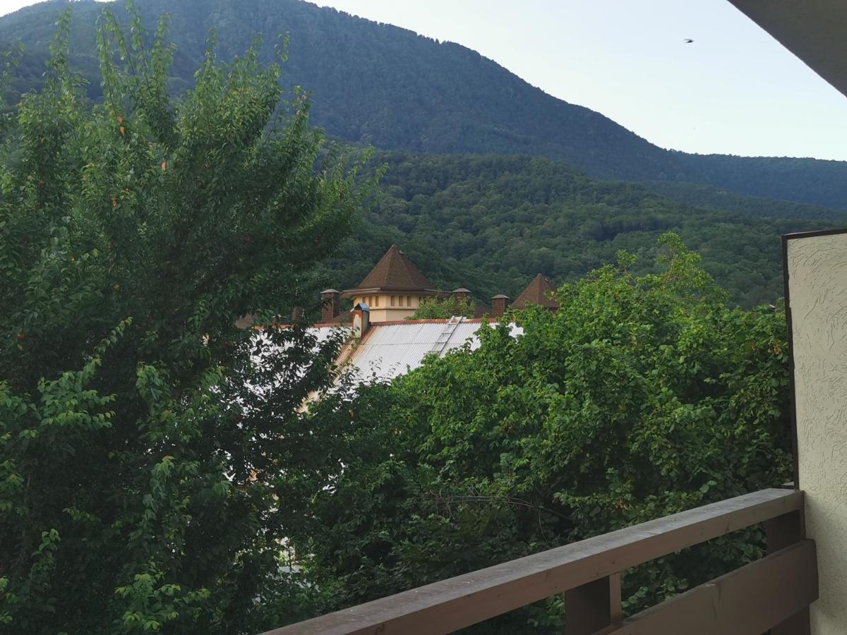 . Апарт-отель "Благодарный круглый год". Красная Поляна