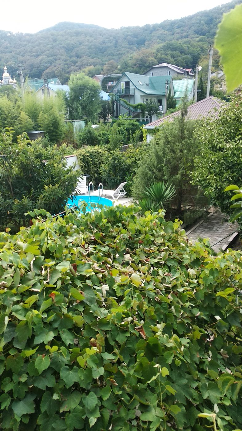 . Гостевой дом "Ростовский дворик". Ольгинка . Гостевой дом "Ростовский дворик". Ольгинка