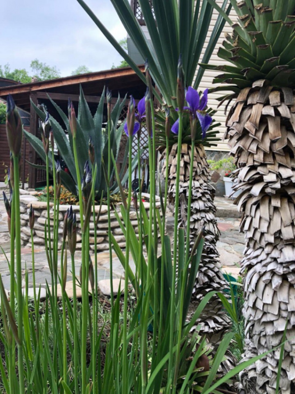 . Гостевой дом "На Ручейной" . Агой