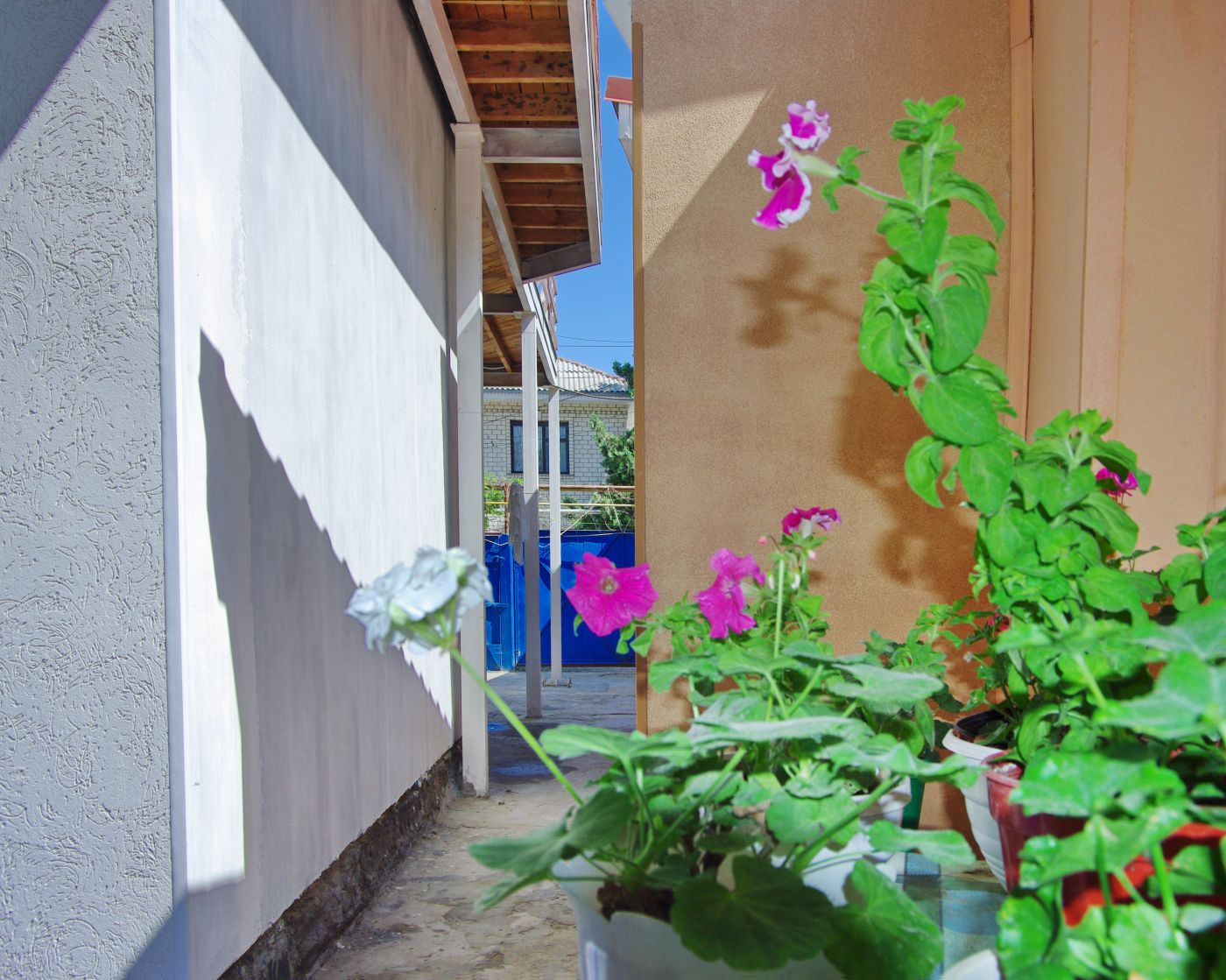 . Частный сектор Гостевой дом "У Галины".. Феодосия