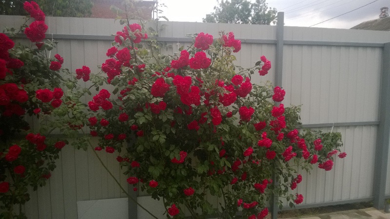 . Дом под ключ Зеленый 6/1. Кучугуры