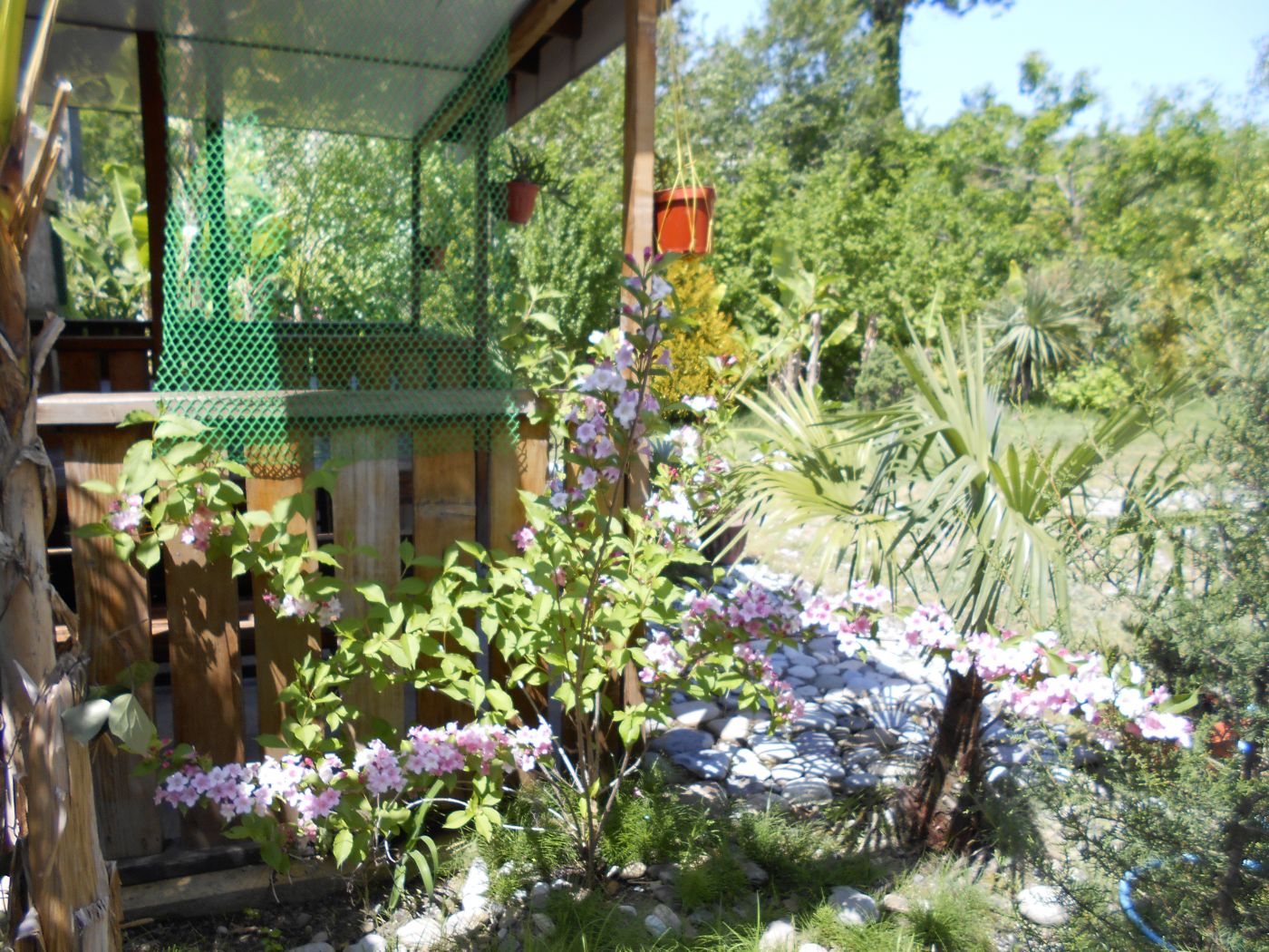 . Гостевой дом "На Главной". Якорная Щель