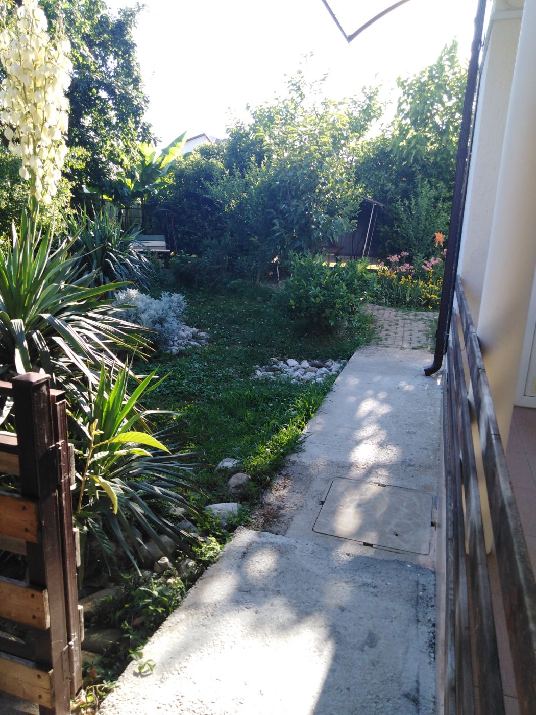 . Гостевой дом "Елена" - Цандрипш. Цандрипш