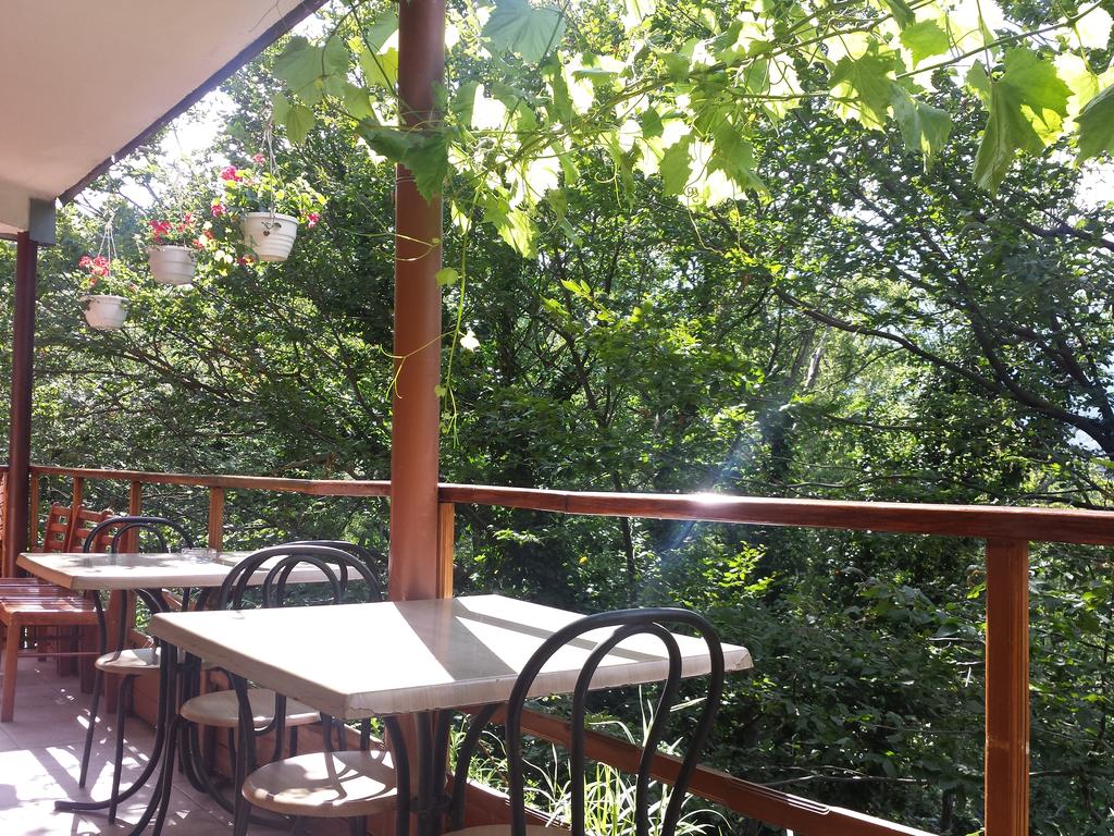 . Гостиница Дача Вернадского. Ялта