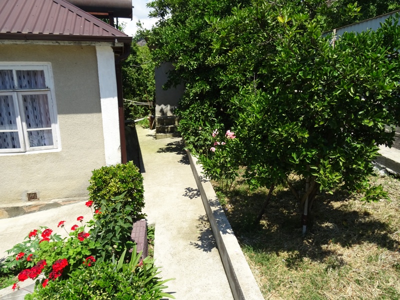 . Частный сектор  "Кове 30" в Гудауте. Гудаута