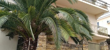 Гостевой дом "Рай" 