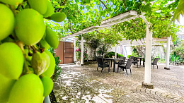 Мини-отель "Ардо" Мини-отель "Ардо"