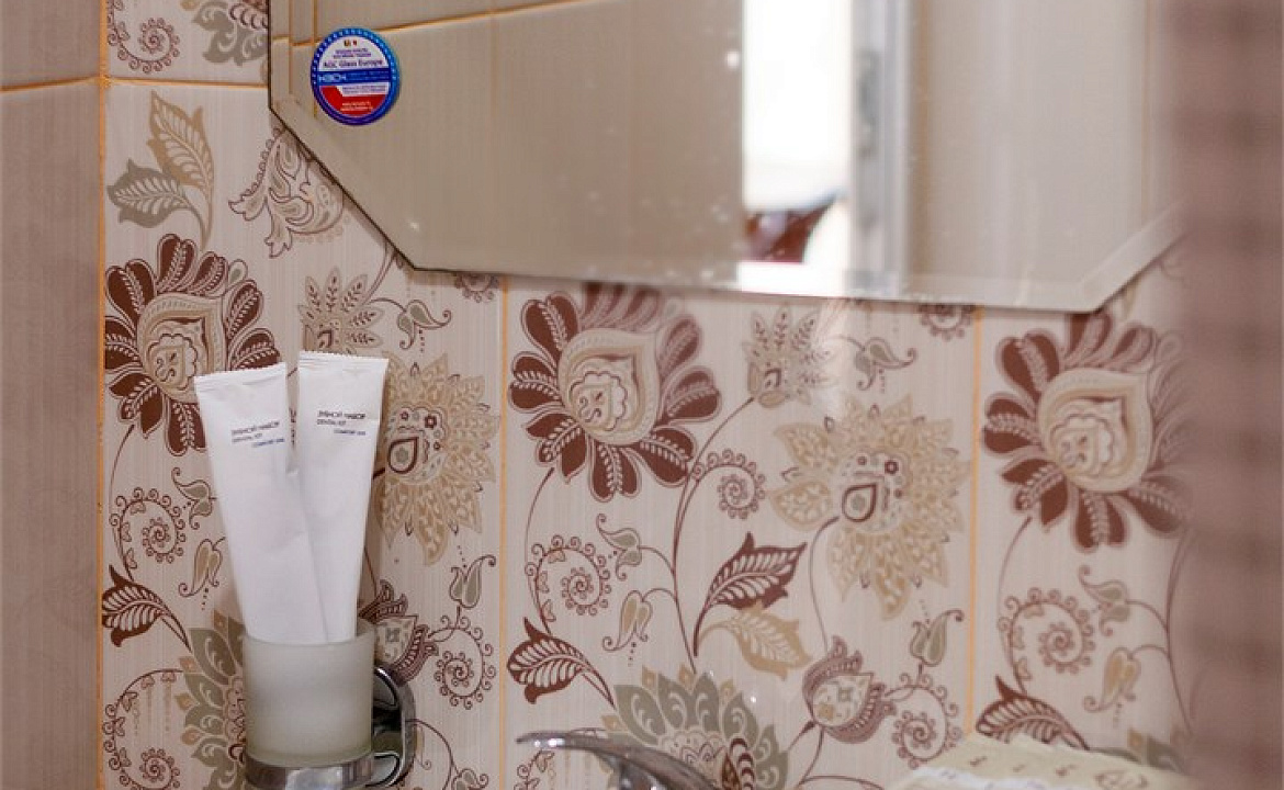 Комфорт трехместный. Гостевой дом «Алоиза». Лоо