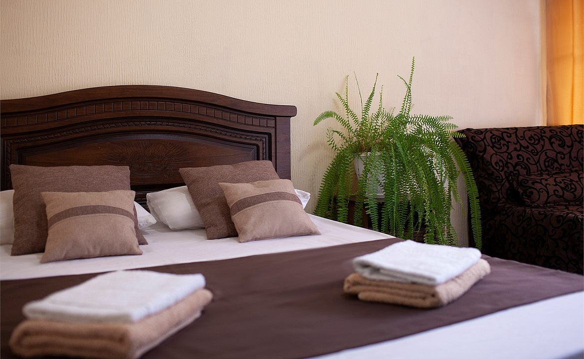 Стандарт двухместный с креслом. Гостевой дом «Алоиза». Лоо