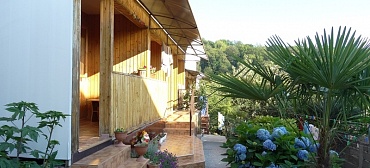 Частный сектор "У Полины"  Частный сектор "У Полины"