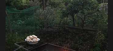 Частный сектор Хатуна