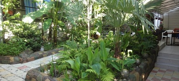 Частный сектор "Тропикано"