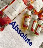 Отель «Абсолют»