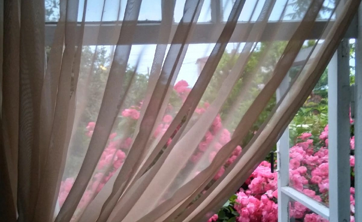 Цветущий сад. Частный сектор Вместе! . Новый Афон