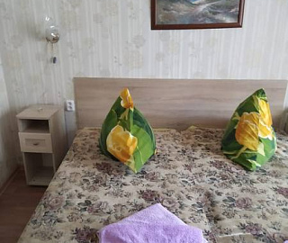 Двухместный, со всеми удобствами, балкон. Гостевой дом "Ставрополье". 