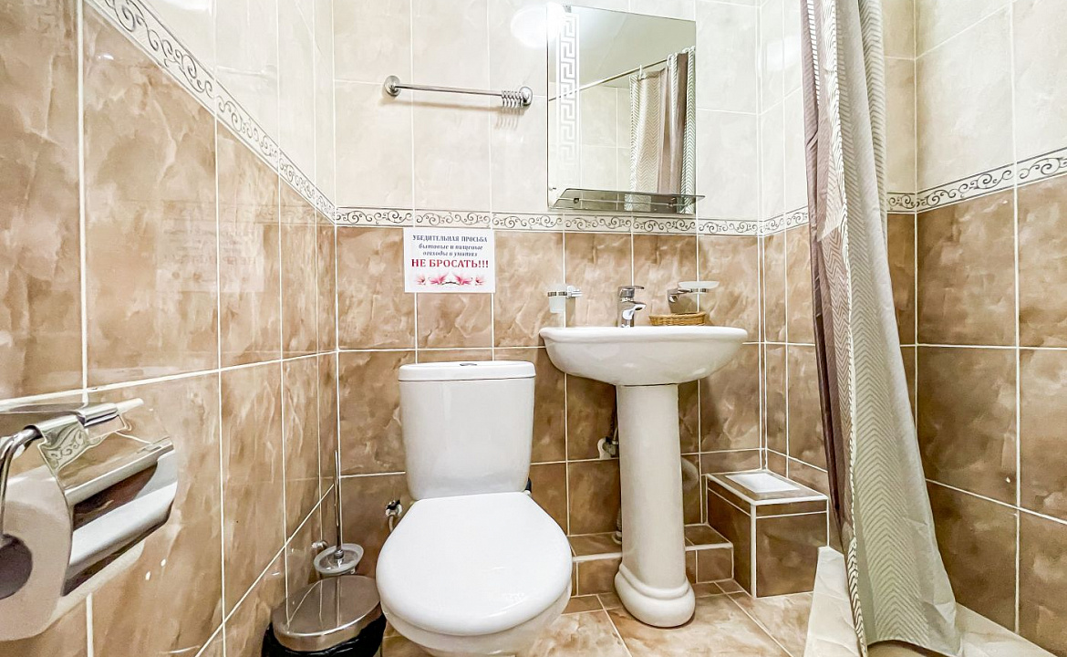 Полулюкс 3-х местный (с балконом). Anzhelina Family Hotel. Витязево