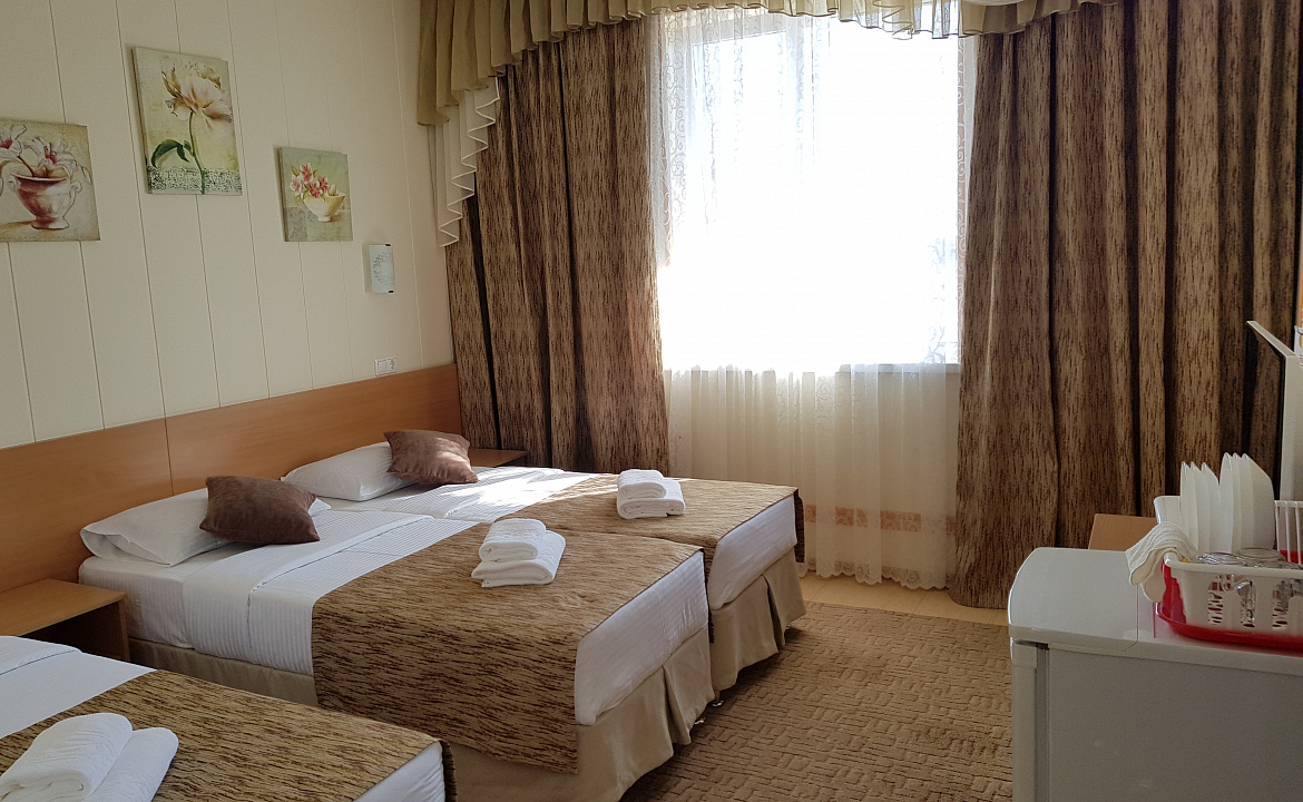 Люкс с отдельным балконом 3хместный. Отель АСТОН. Нижнее Джемете