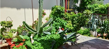 Гостевой дом "Даниэль"