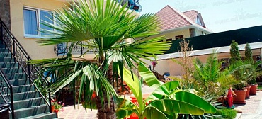 Гостевой дом "Атриум" 