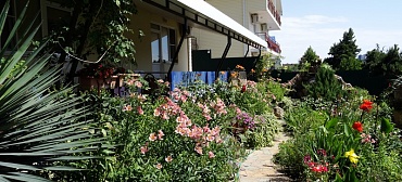 Гостиница "Милана" Гостиница "Милана"