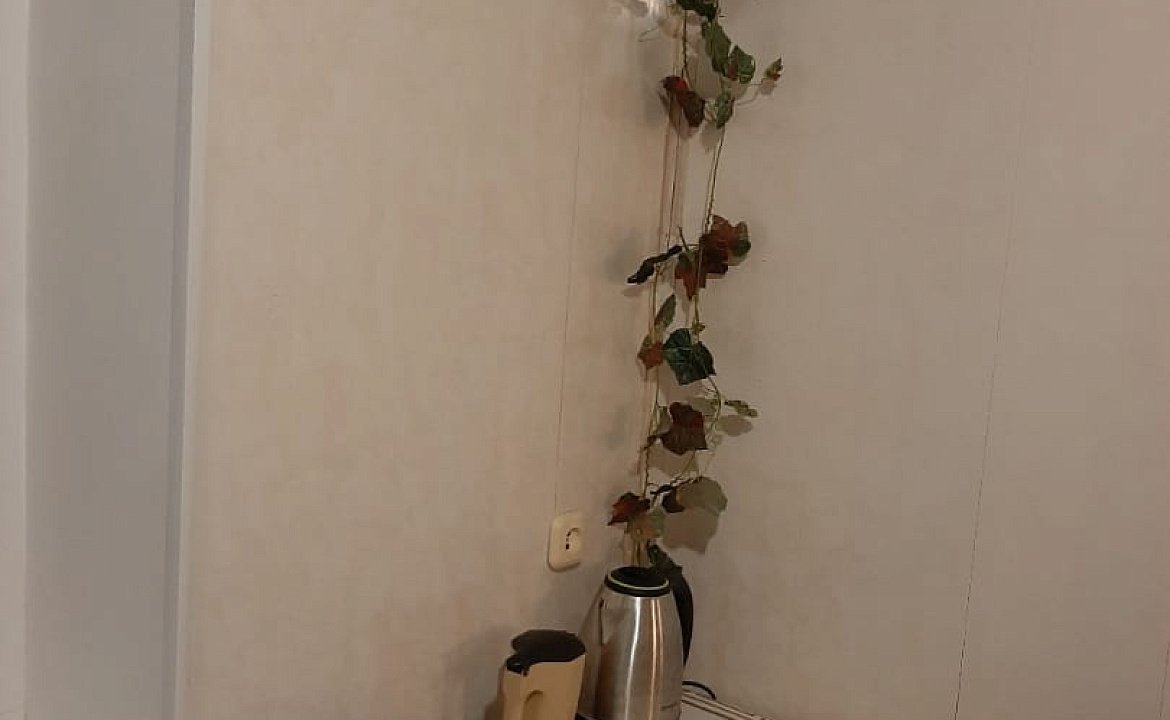 Однушка по ул Абазга. Однушка по ул Абазга. Гагра