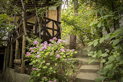 База отдыха "Сосновый Бор" База отдыха "Сосновый Бор"