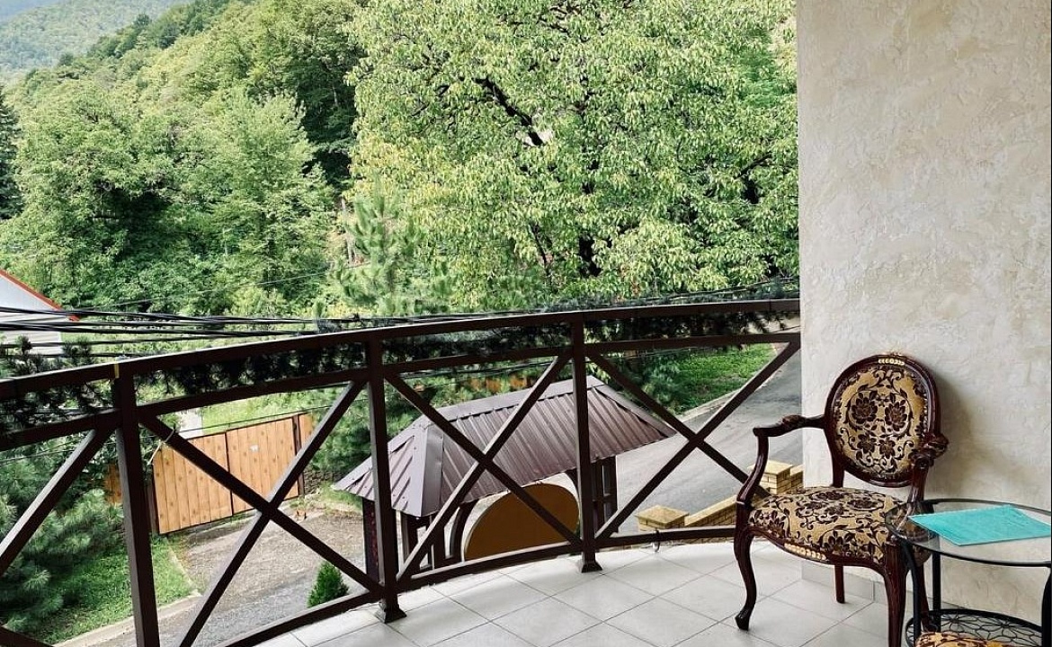 Полулюкс. Отель Отель Green Hall. Красная Поляна