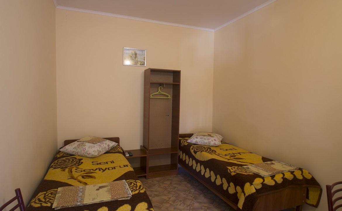 Номер 2 места скондиционером. Гостевой дом Аист. Саки