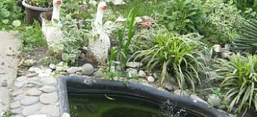 Частный сектор "Светлана на Луговой"